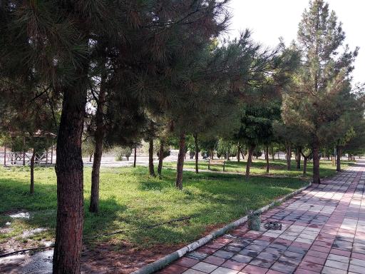 عکس بوستان دکتر حسابی