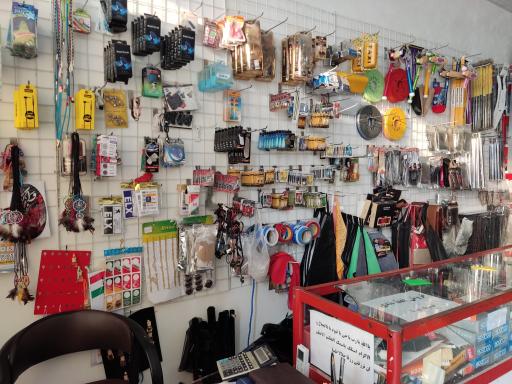 عکس تزئینات اتومبیل کاظم باقر زاده