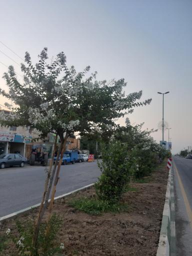 عکس مزرعه کتول