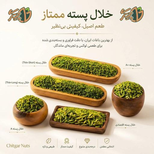عکس شرکت خشکبار چیتگر