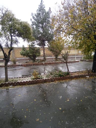 عکس جایگاه CNG توحید