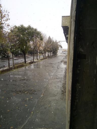 عکس جایگاه CNG توحید