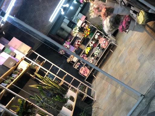 عکس گلفروشی پاچیرا