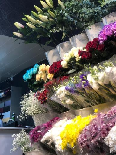 عکس گلفروشی پاچیرا