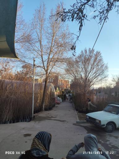 عکس گلسرای رزلند