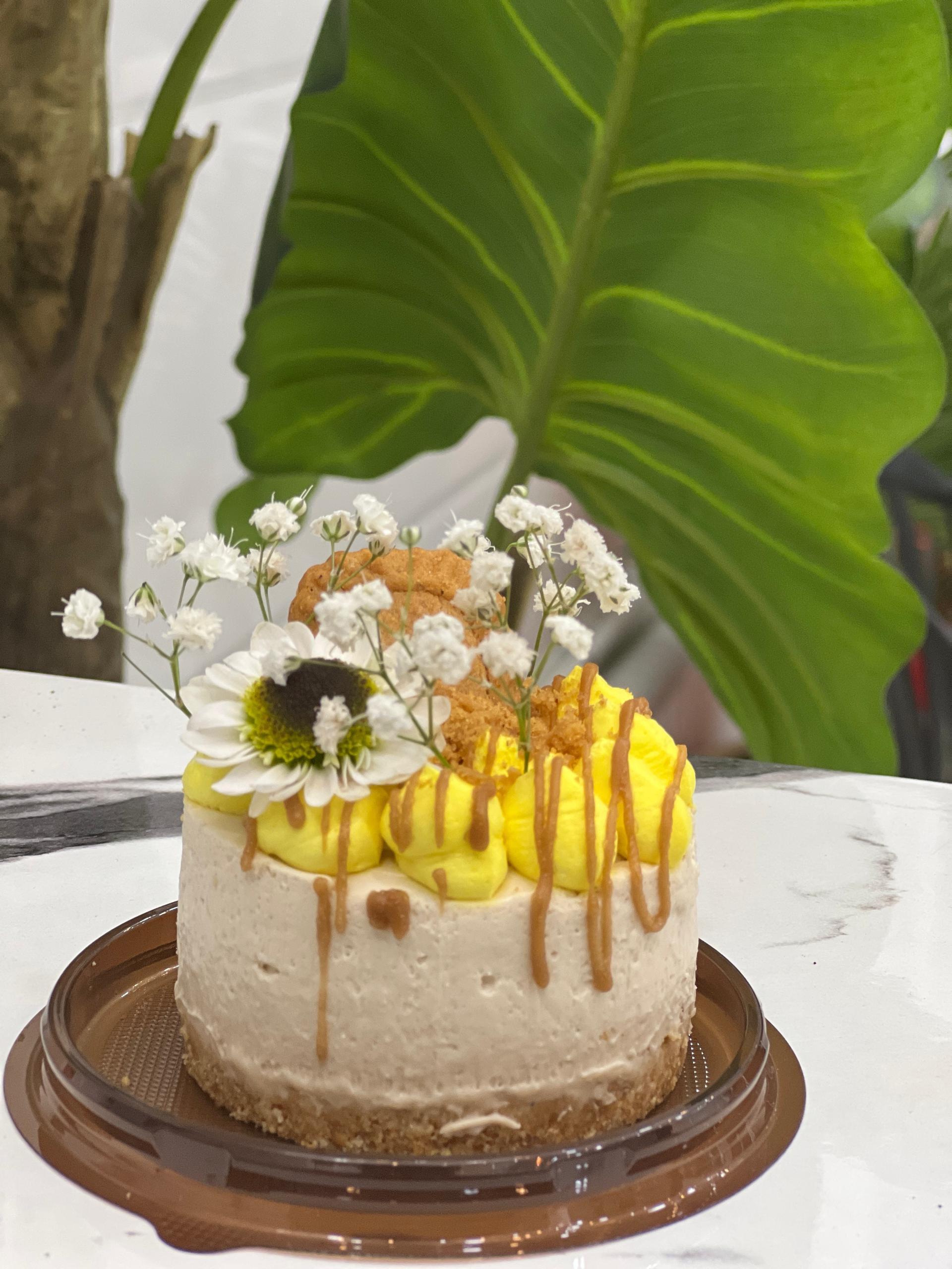 عکس کافه پلاس