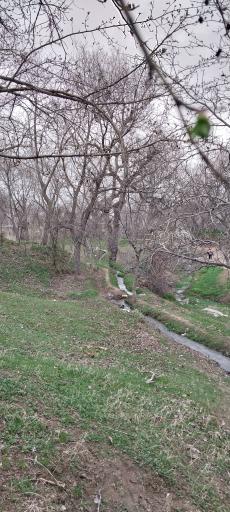 عکس تویسرکان