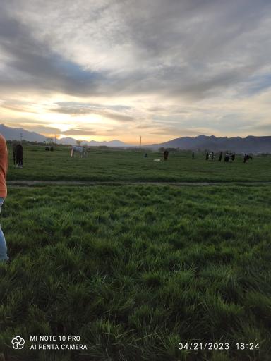 عکس تویسرکان