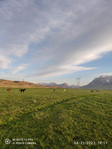 عکس تویسرکان