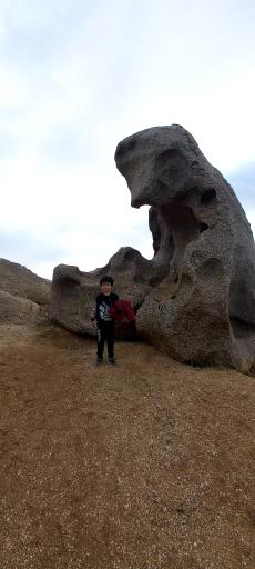 عکس تویسرکان