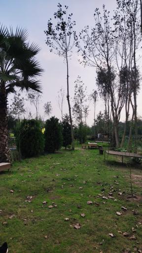 عکس مجموعه گردشگری سقرچین تالاب