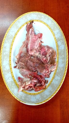 طباخی حقیقت