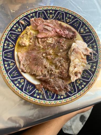 عکس طباخی حقیقت