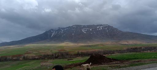 عکس تویسرکان