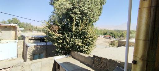 عکس تویسرکان