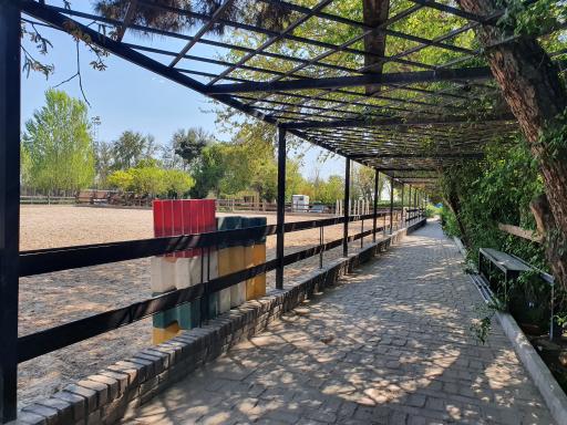 عکس باشگاه سوارکاری آیندگان