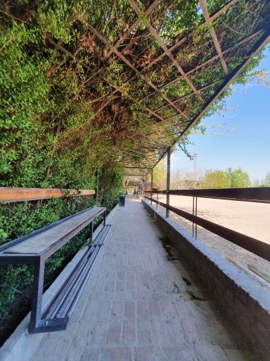 عکس باشگاه سوارکاری آیندگان