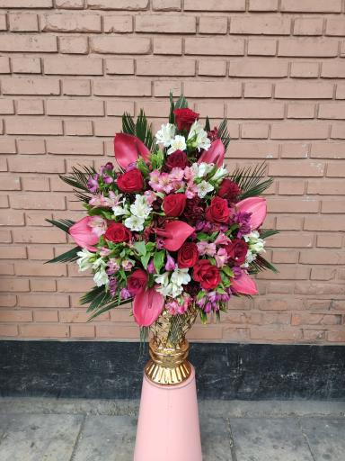 عکس گلسرای ژینا