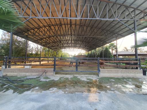 عکس باشگاه سوارکاری آیندگان