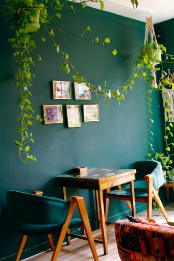 عکس کافه به لیمو