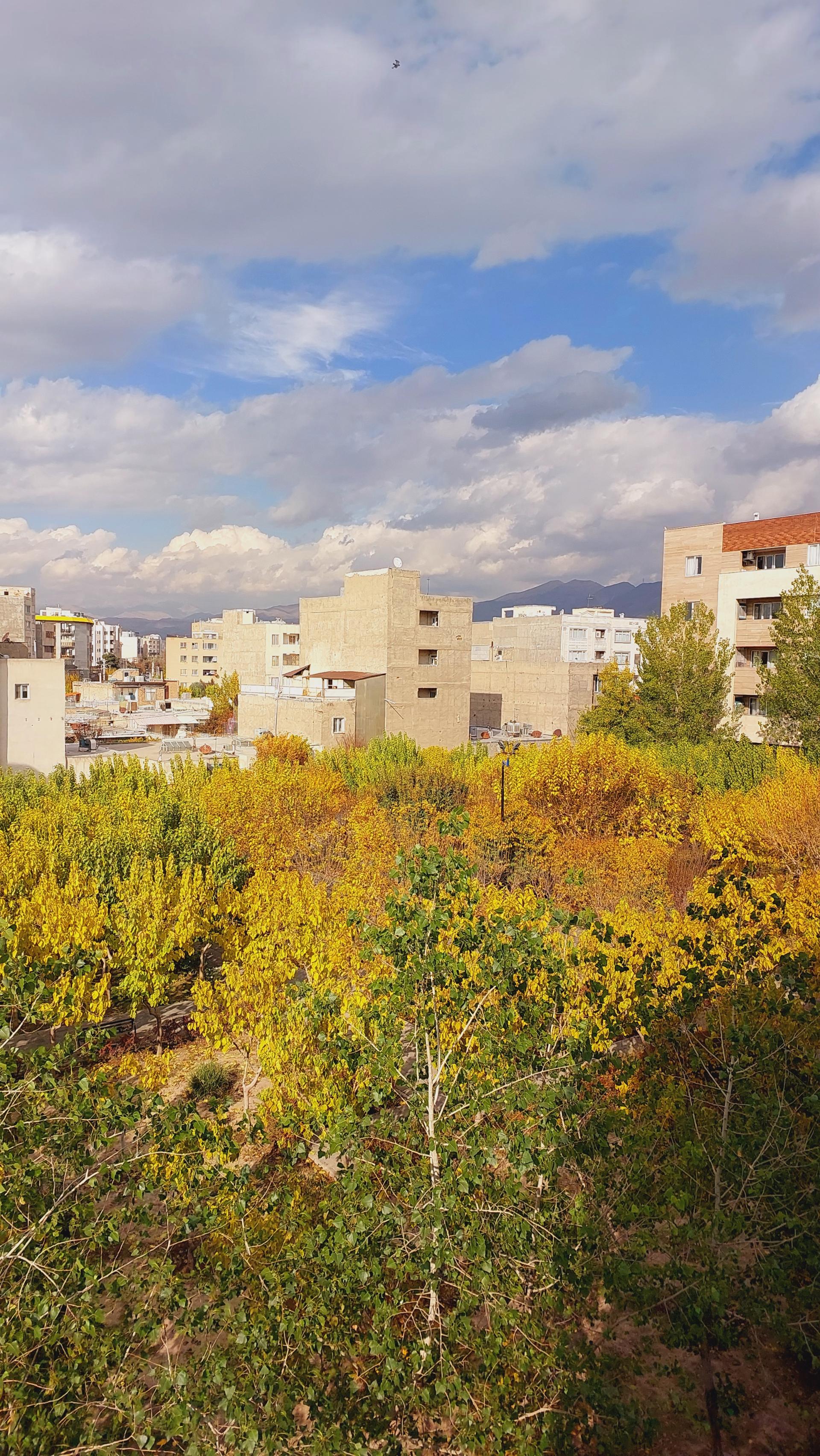 عکس بوستان آوا