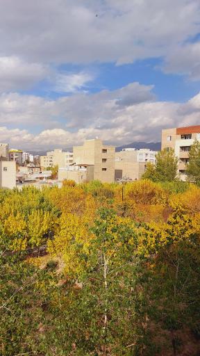 عکس بوستان آوا