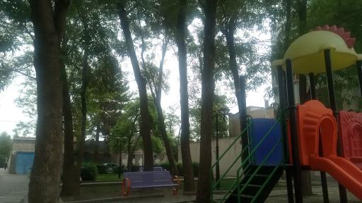 عکس بوستان زنبق