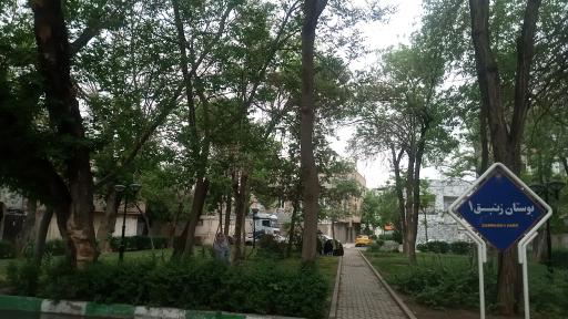 عکس بوستان زنبق