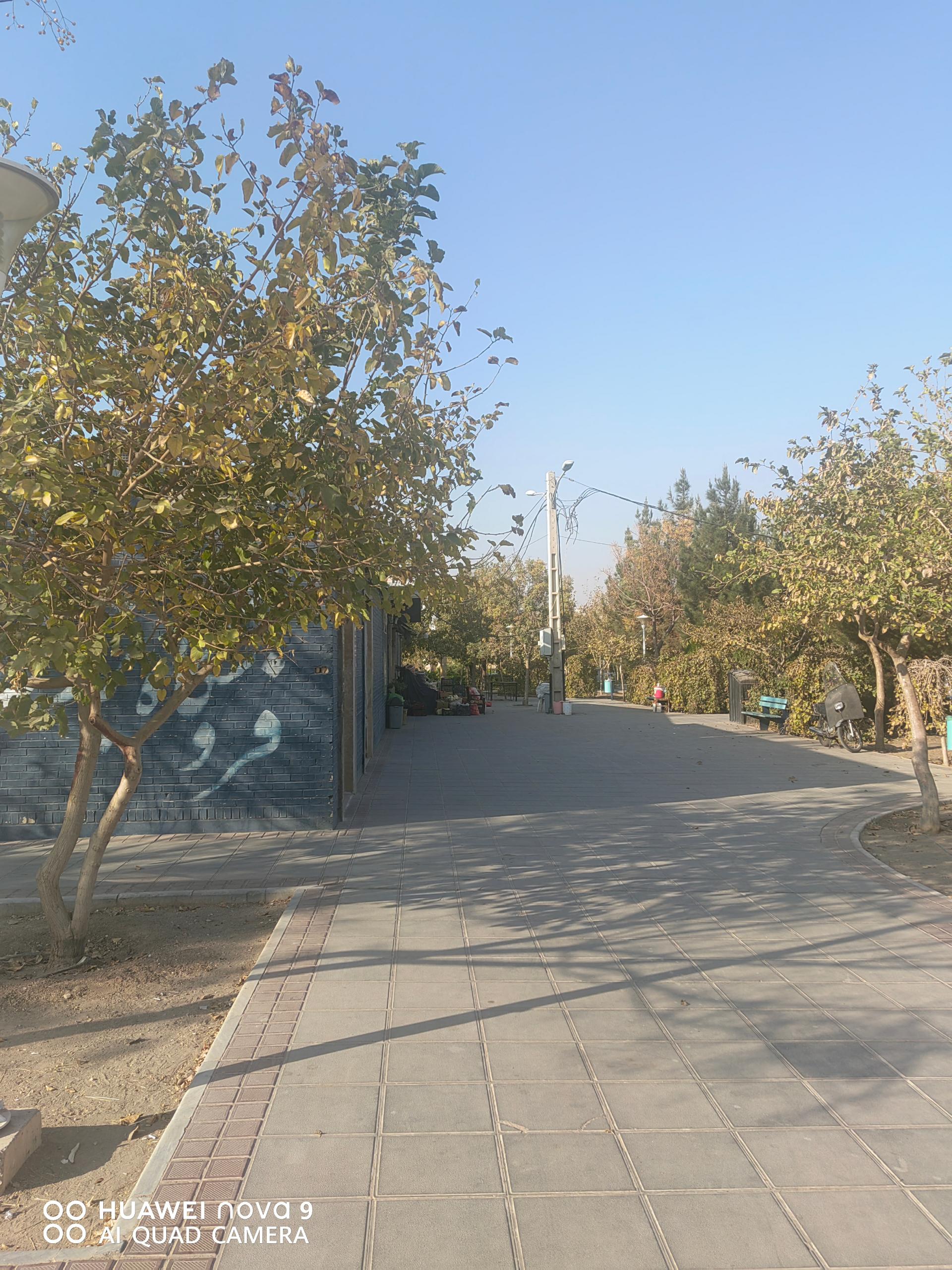عکس پارک طلاییه