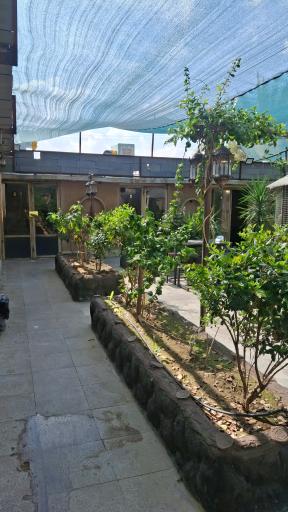 عکس کافه رستوران آندو