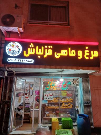 عکس مرغ و ماهی قزلباش
