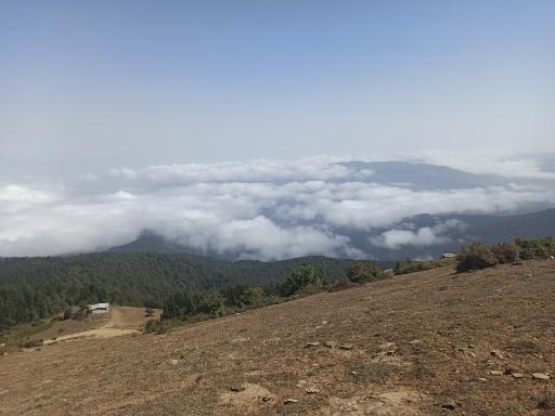 عکس مازیچال