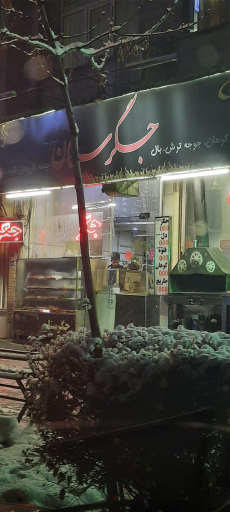 عکس جگرستان