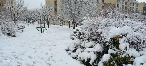 عکس پارک مرمر