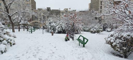 عکس بوستان مرمر
