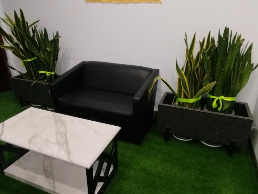 عکس مروارید های درخشان