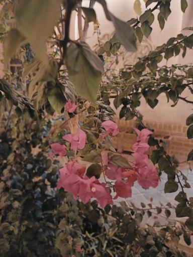 عکس عمارت چارستون