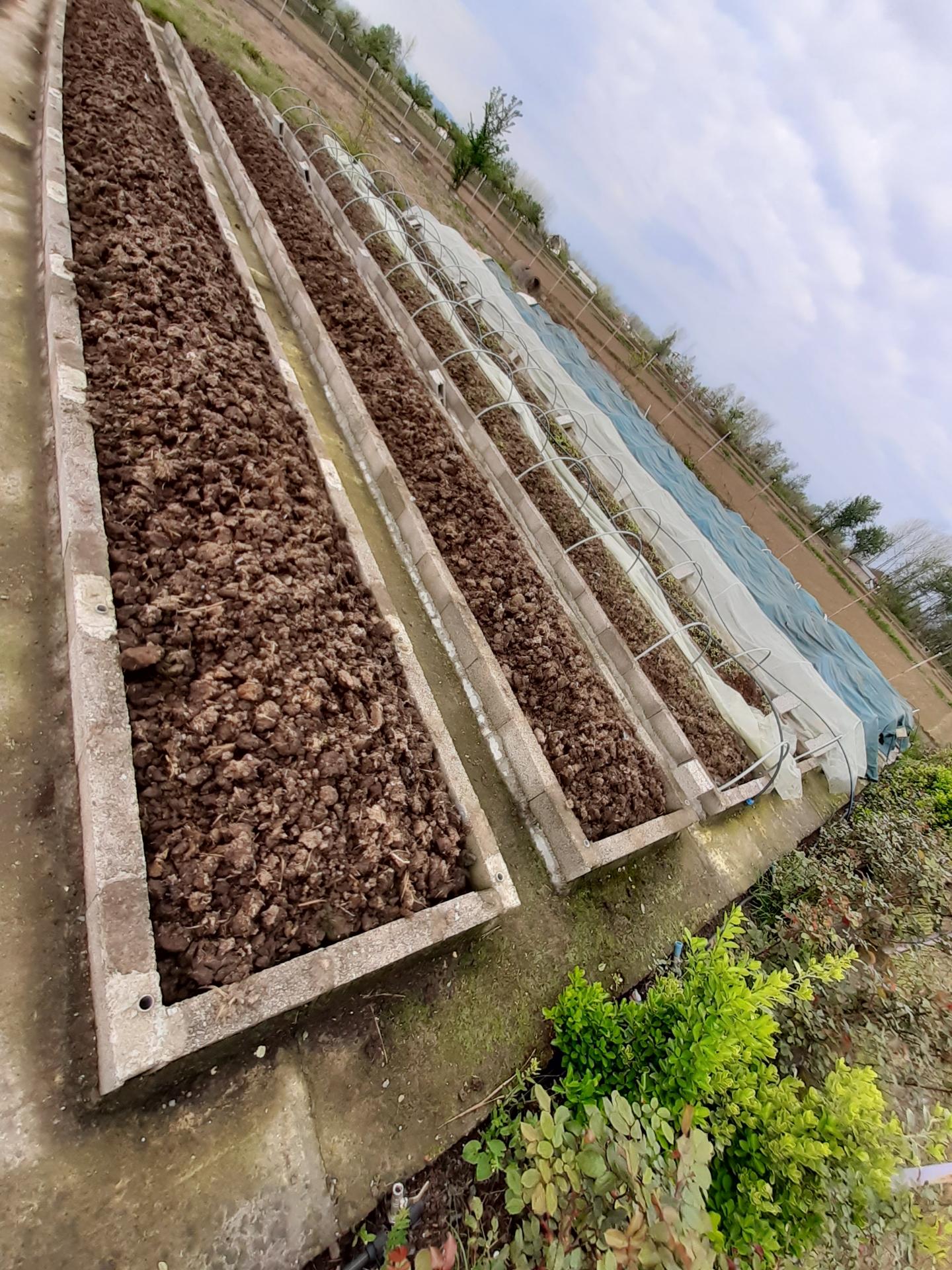 عکس ورمی کمپوست ویشکا