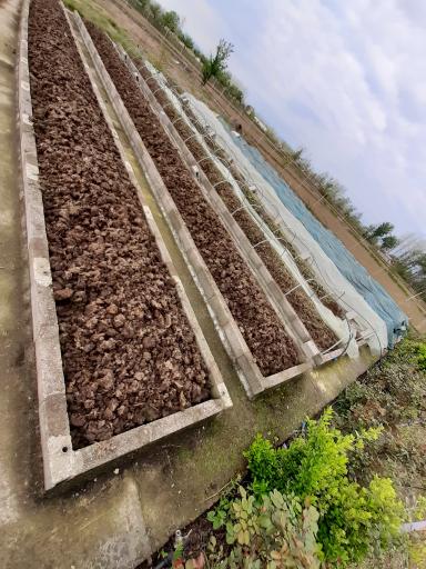 عکس ورمی کمپوست ویشکا