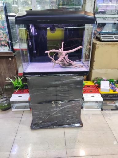 عکس آکواریوم ماهی