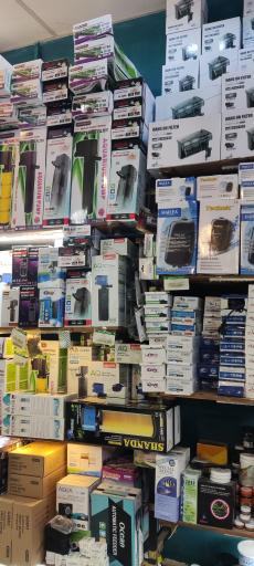 عکس آکواریوم ماهی