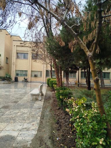 عکس دانشکده ادبیات و علوم انسانی دکتر علی شریعتی