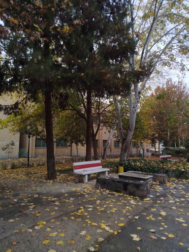 عکس دانشکده ادبیات و علوم انسانی دکتر علی شریعتی