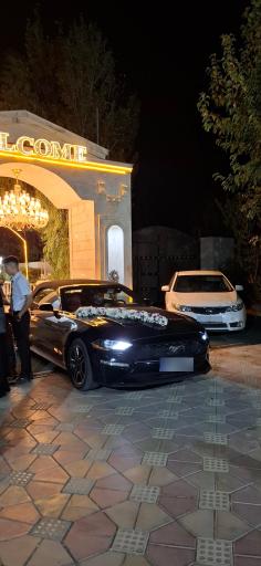 عکس باغ عمارت کسری