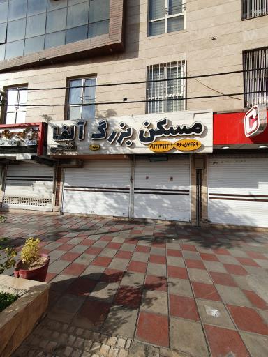 مسکن بزرگ آلفا 