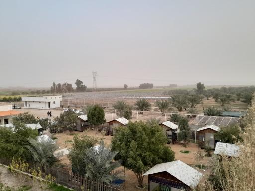 عکس باغ رویای مادر