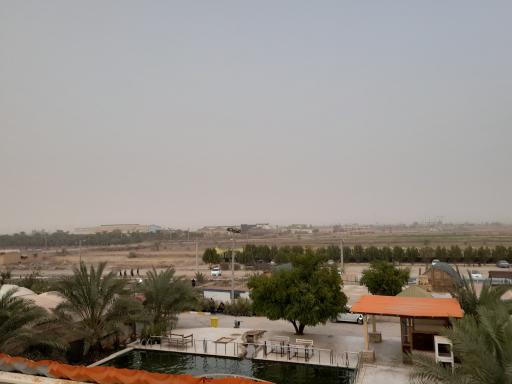 عکس باغ رویای مادر