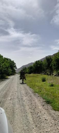 عکس ننه کران
