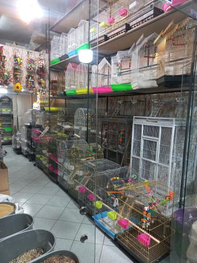 عکس فروشگاه قفس خسروی