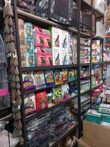 عکس فروشگاه قفس خسروی